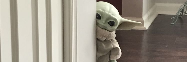 danifiscarelli's profile banner image