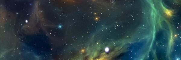 ilManetta Profile Banner