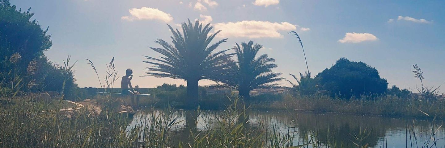 Matthew Conroy banner