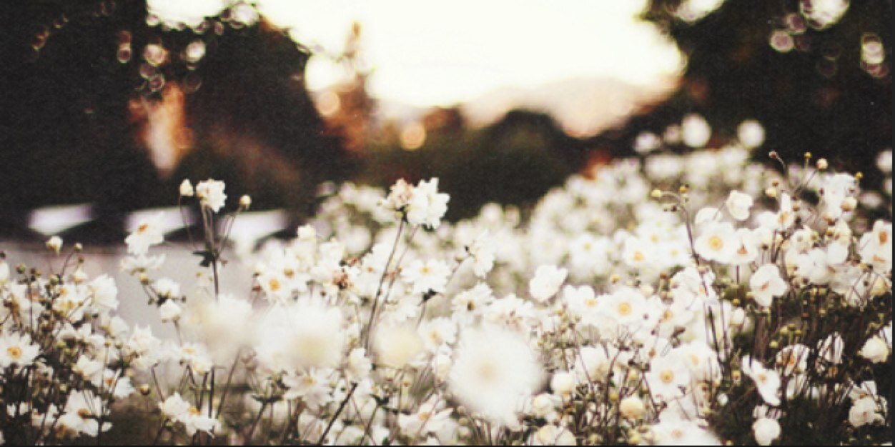 GyorKatie's profile banner image