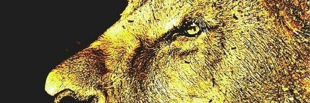antom1523's profile banner image