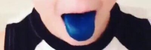 florenceseger Profile Banner