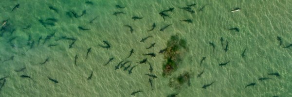 AndrewNosal Profile Banner