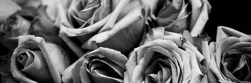 00ou_u's profile banner image