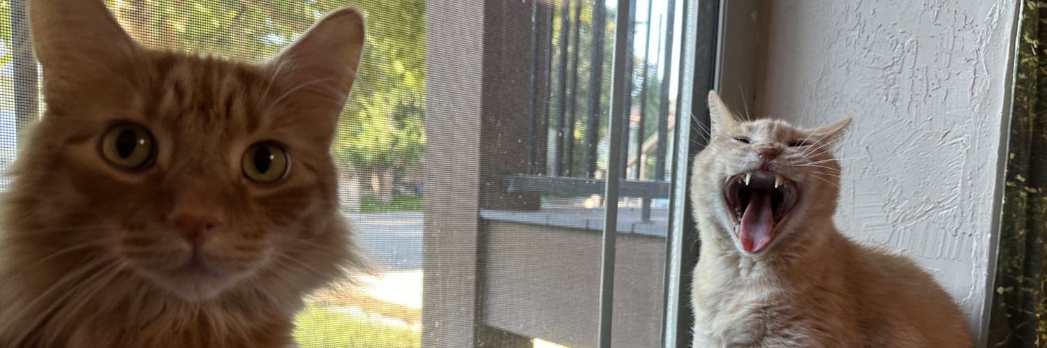 JamieMcPeters's profile banner image