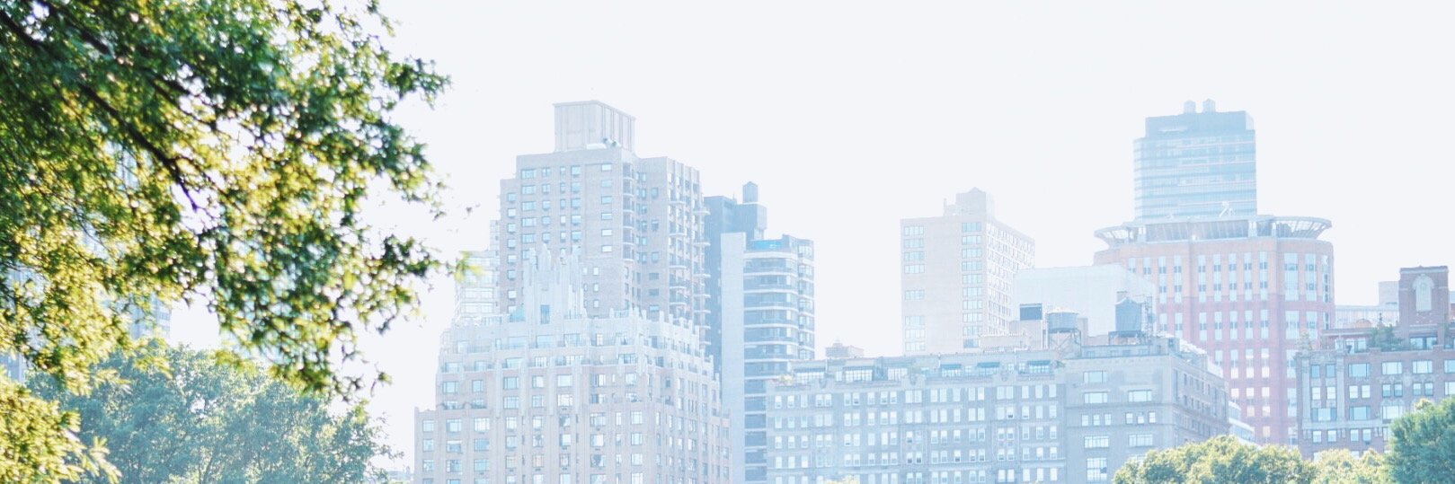 steelojeem's profile banner image