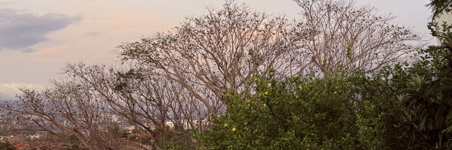 KerlyAvilesM's profile banner image