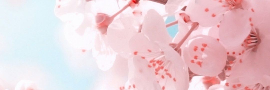 IamAllelya's profile banner image