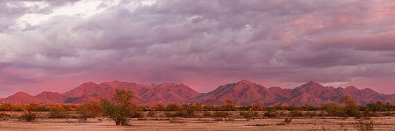 Stephanie/Estefanía banner