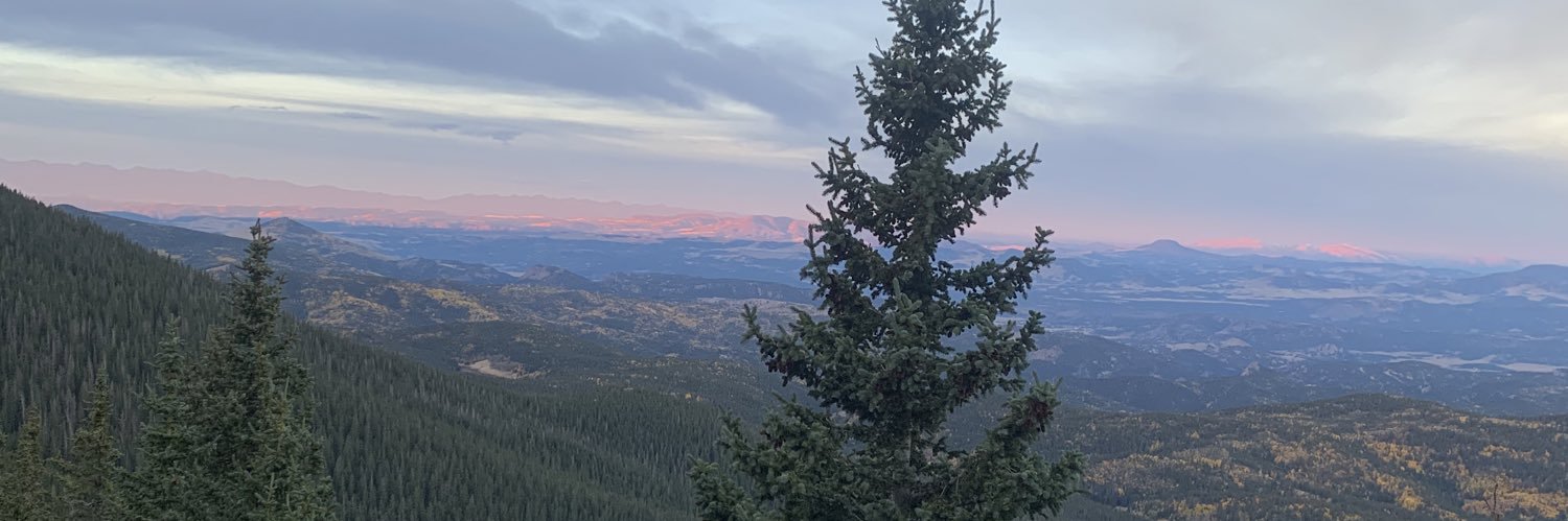 RachelScillian's profile banner image