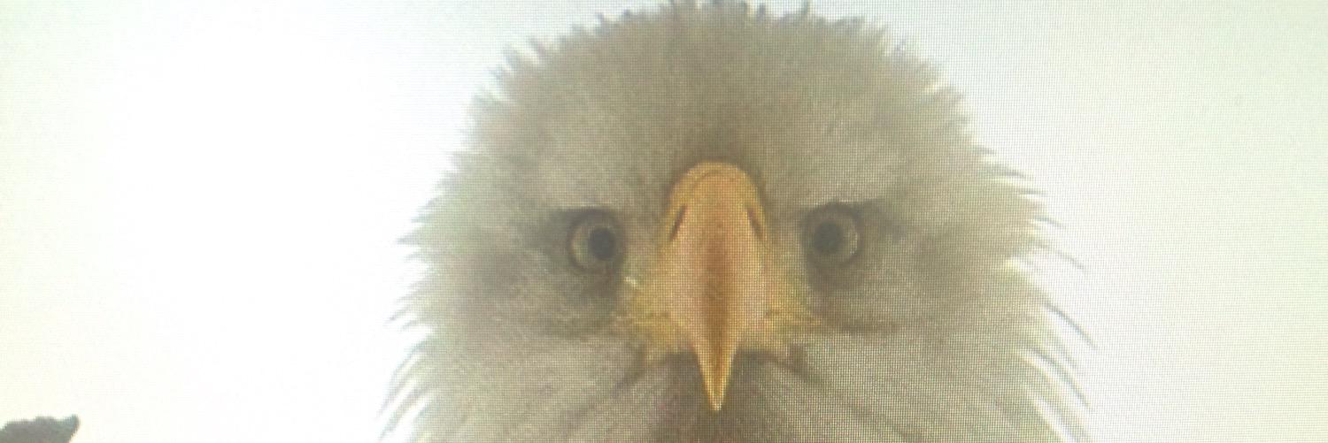 S3TH_DAVIS's profile banner image