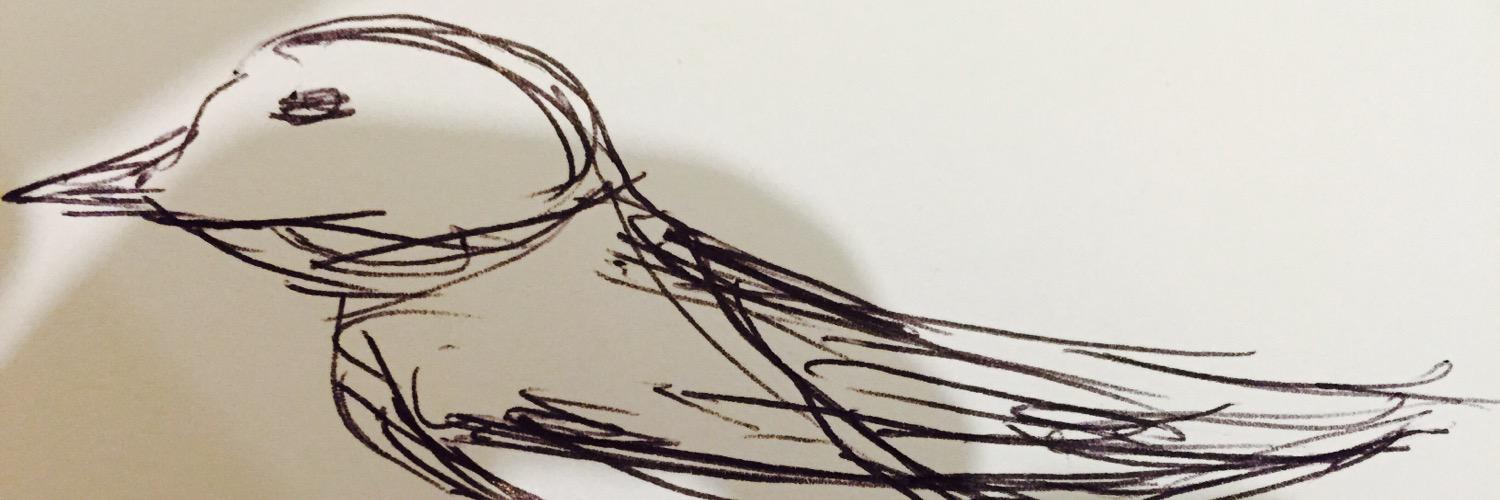 AcePhoenix41's profile banner image