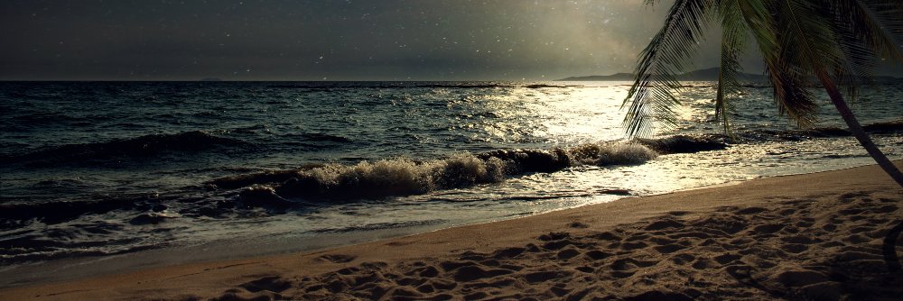 KnightBlu313's profile banner image