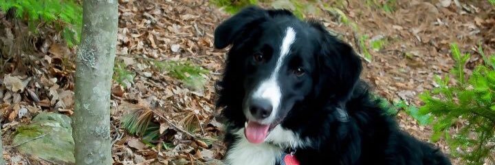 hembrett's profile banner image