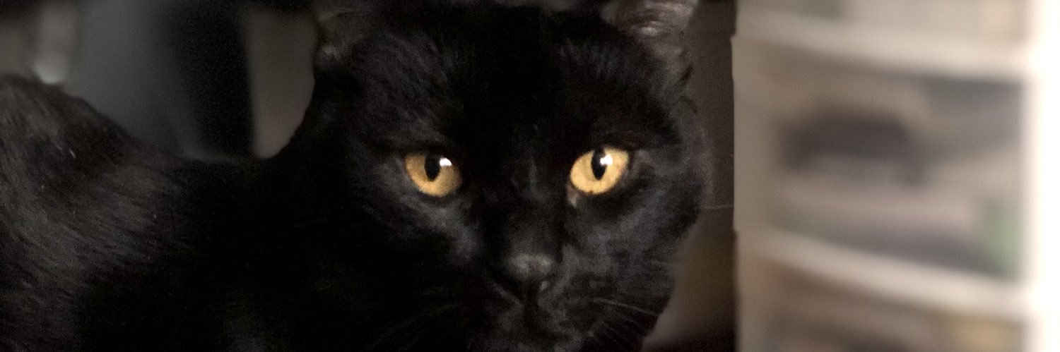 Marissavy_'s profile banner image
