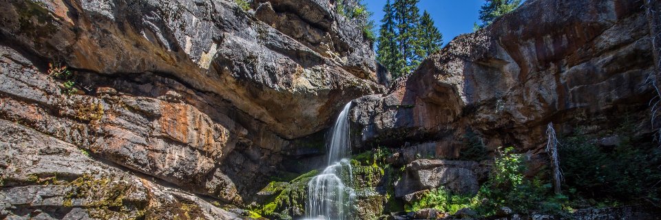 Carissimi's profile banner image