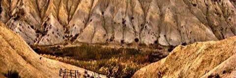 rpintos2's profile banner image