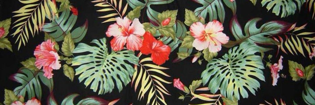 javy_constanza_'s profile banner image
