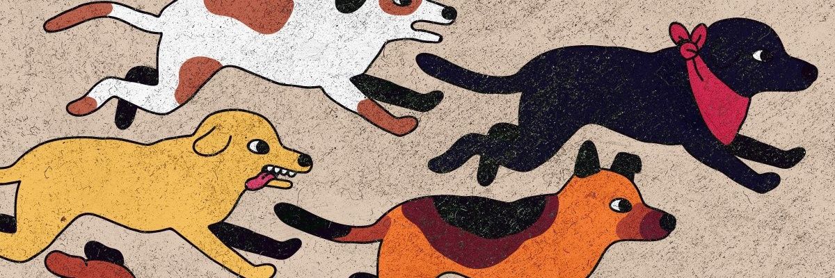 Gabb_AG's profile banner image