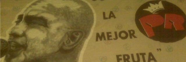 Pollito29 banner