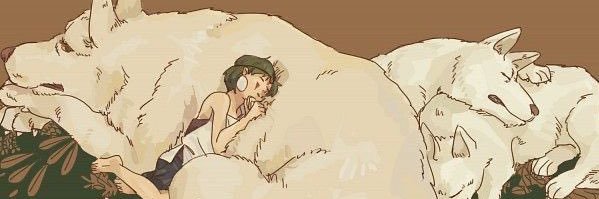 RodriTaboada's profile banner image