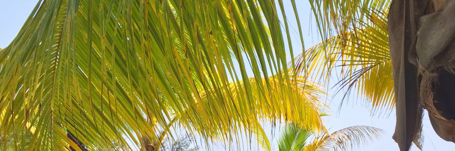 fabricioRoque's profile banner image