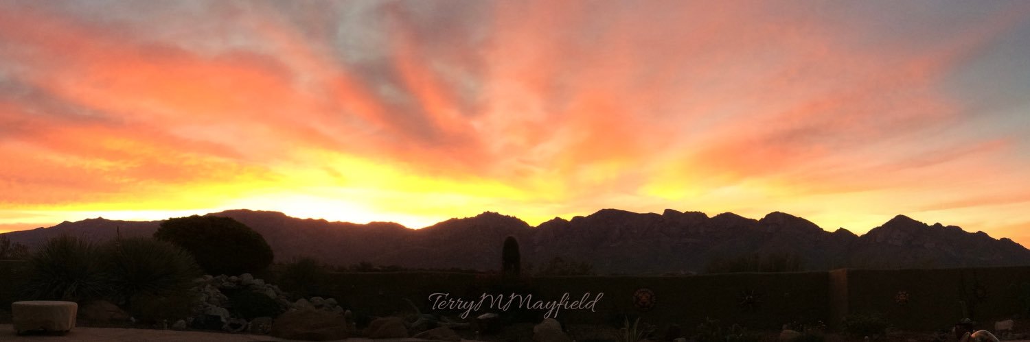 TerryMMayfield's profile banner image