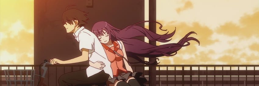 Leo banner