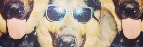 MeghanHaisma's profile banner image