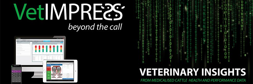 VetIMPRESS's profile banner image