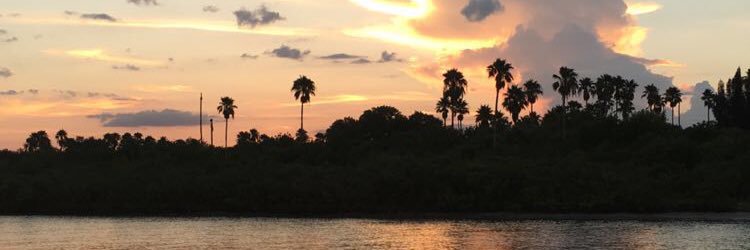 Carly Leonard banner