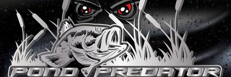 🇺🇸Jeff Davis🇺🇸 banner