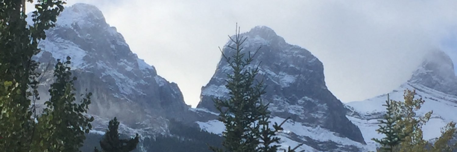 cinid's profile banner image