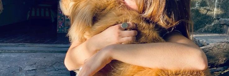 _Elisanndra's profile banner image