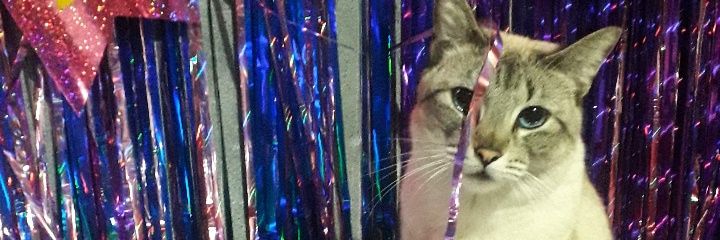 kavelazquezc's profile banner image