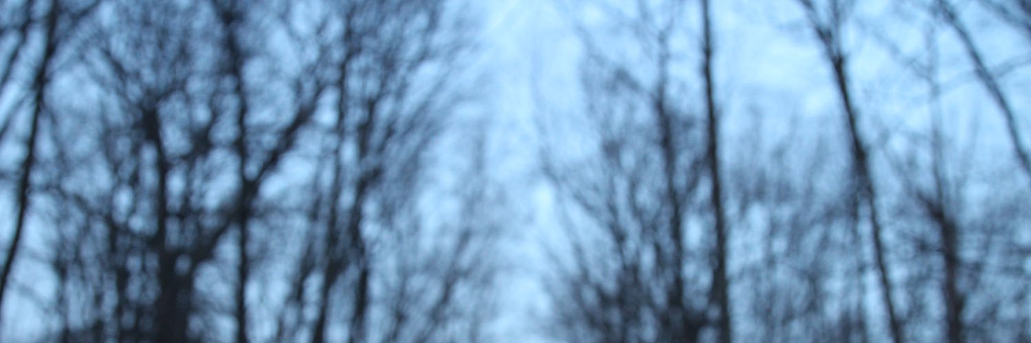 seanbrown2012's profile banner image