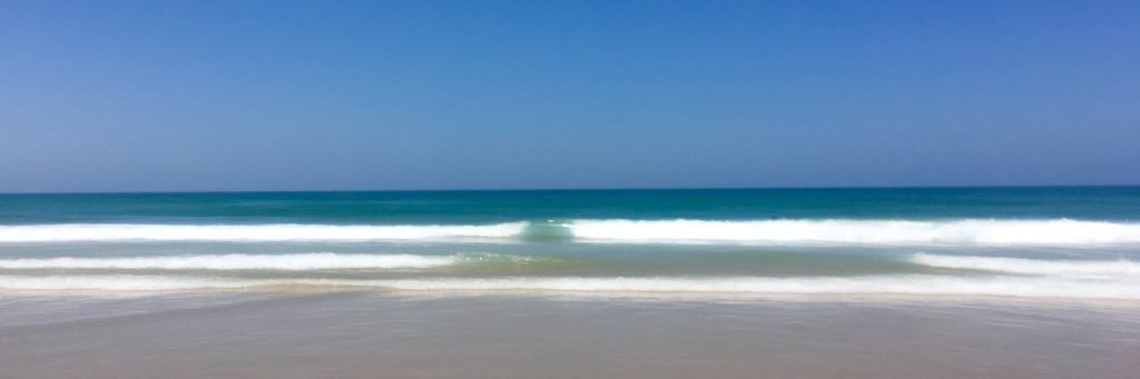 Cholfer🌻 banner
