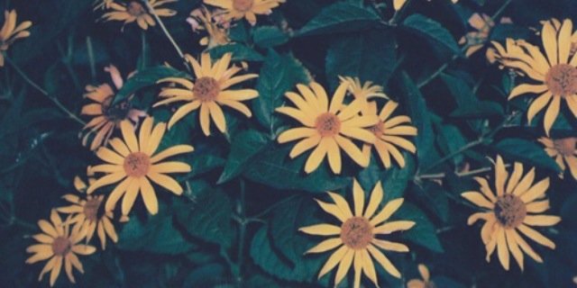 ktcurrier's profile banner image