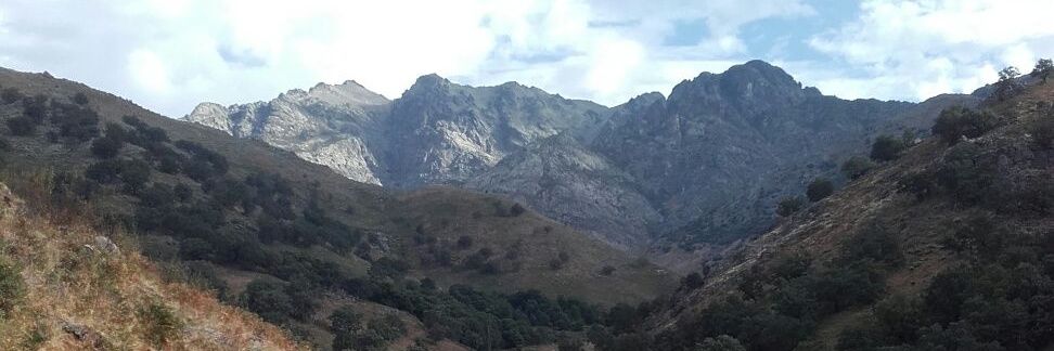 ecordobacc's profile banner image