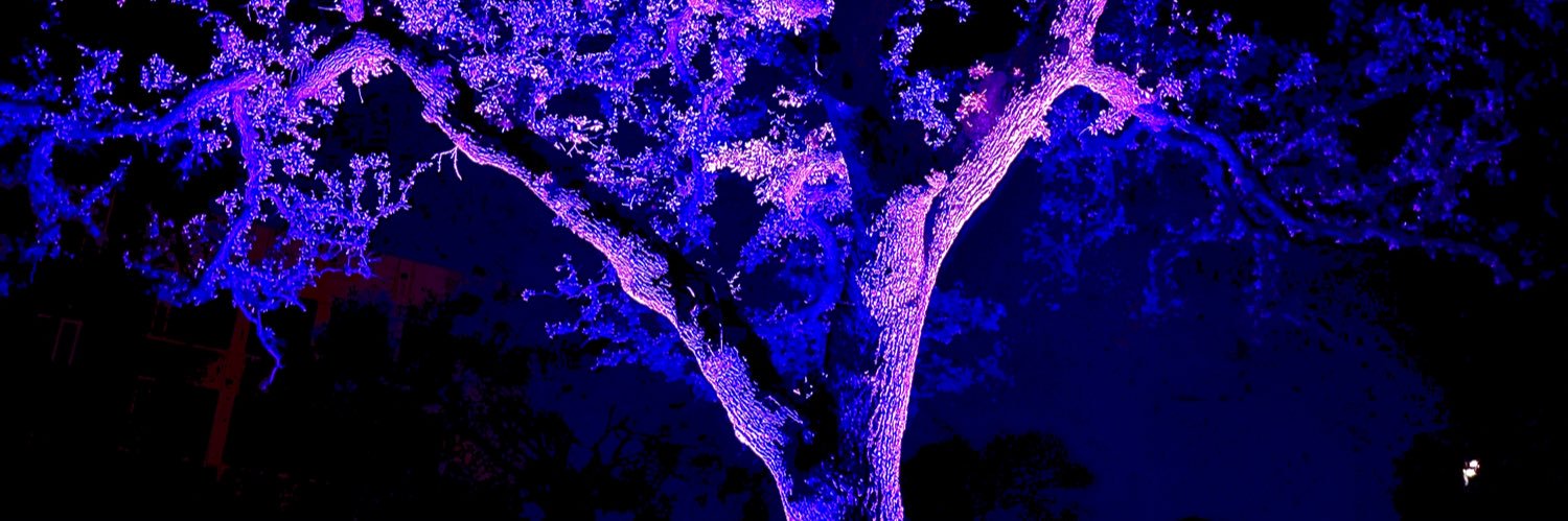 T3RRABIT3S's profile banner image