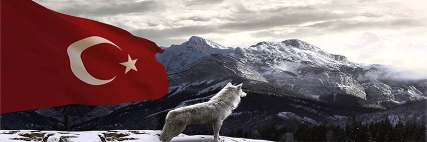 halilaydogann's profile banner image