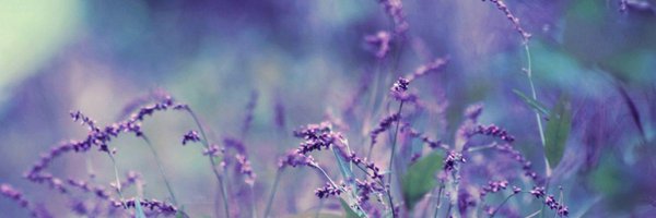 xbrookeb28x Profile Banner