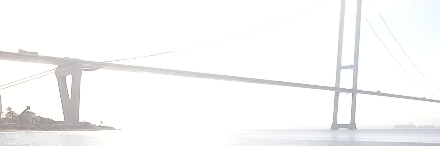 nitemracu's profile banner image