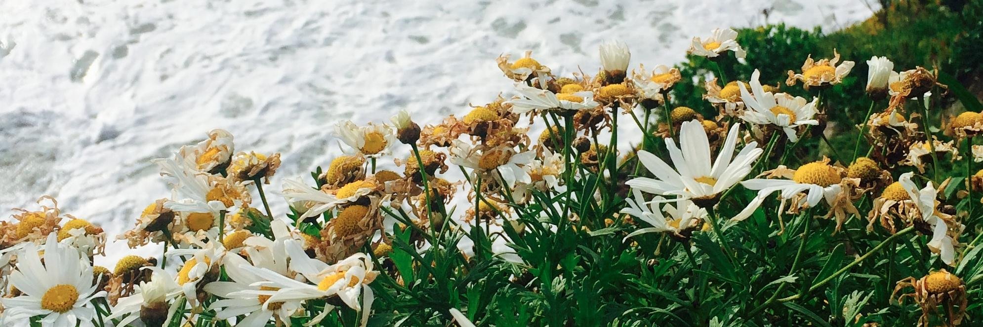 ErinMagliozzi's profile banner image