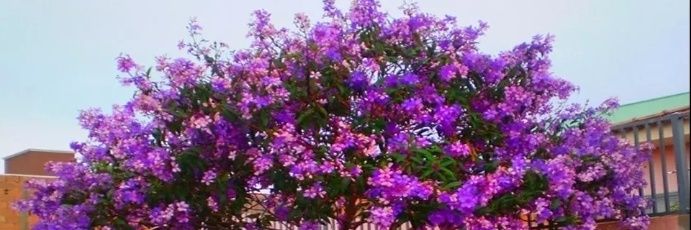 zmmc56's profile banner image