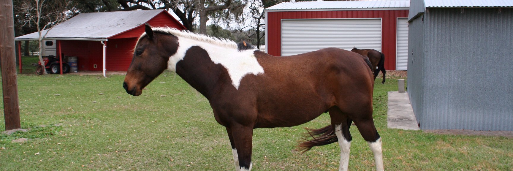 Keith Denison banner