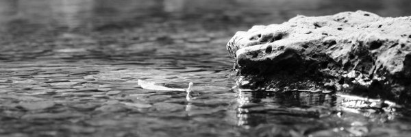 aknauft Profile Banner