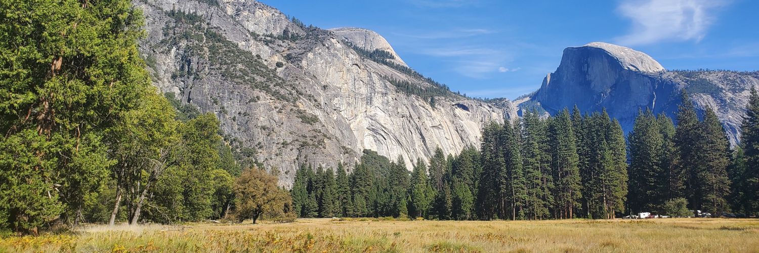 Travis Buckner banner