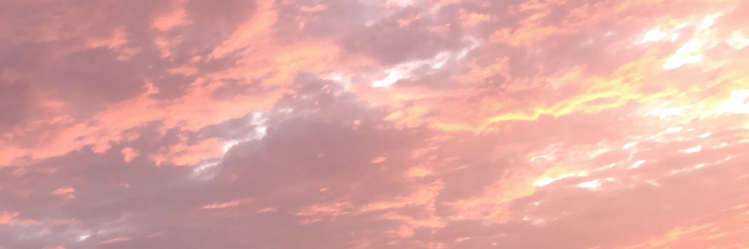 allison_Lg's profile banner image