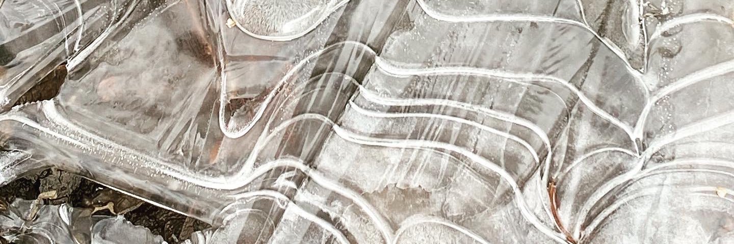 NolanKasal's profile banner image